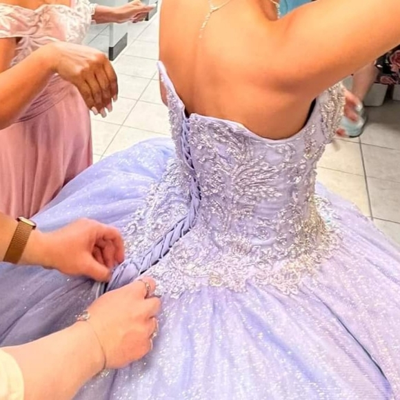 Quinceanera Dress - Picture 4 of 6